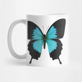 Black and Blue Butterfly Mug